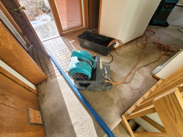Best Flood damage cleanup  in Middletown, OH