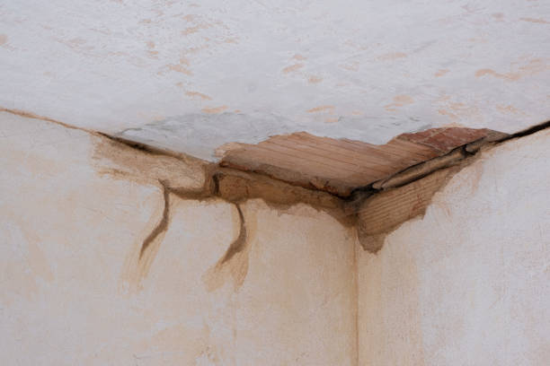 Best Flood restoration services  in Middletown, OH