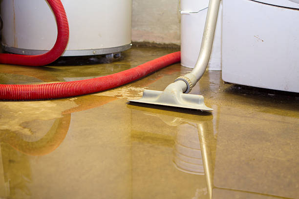 Best Water damage contractors near me  in Middletown, OH